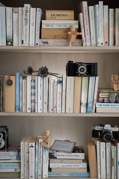 Fotobanka s bezplatnými fotkami na tému čítanie, domáci dekor, klasická zbierka