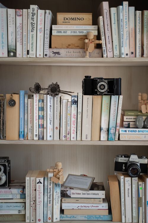 Free Aesthetic bookshelf with books, vintage cameras, and ornaments for cozy home decor. Stock Photo
