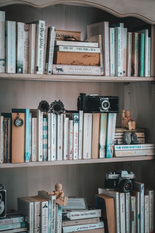 Free A cozy vintage bookshelf filled with books, cameras, and wooden figurines, showcasing an eclectic collection. Stock Photo