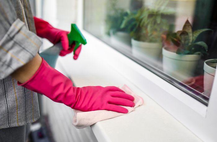 Regular House Cleaning in London