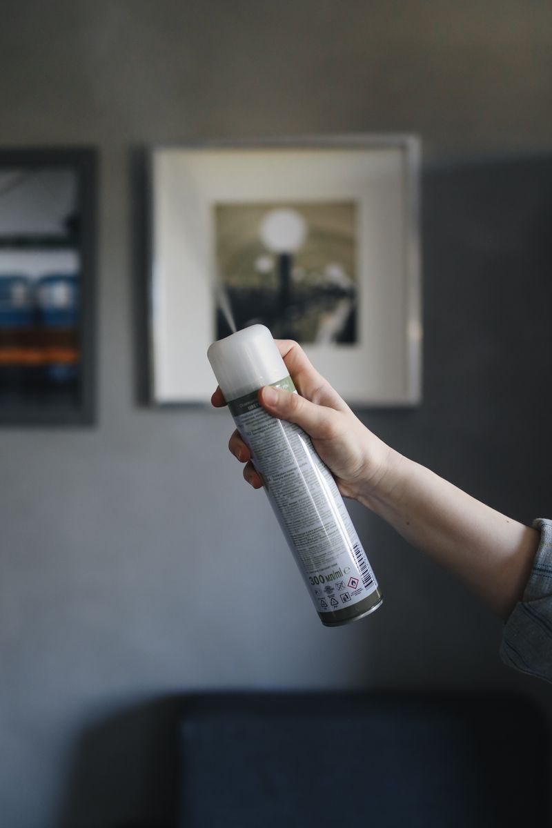 Hand spraying insect repellent aerosol indoors