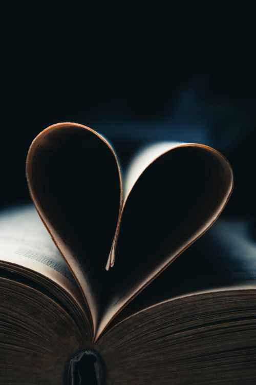 Free A book with pages forming a heart shape in dim, atmospheric lighting. Stock Photo