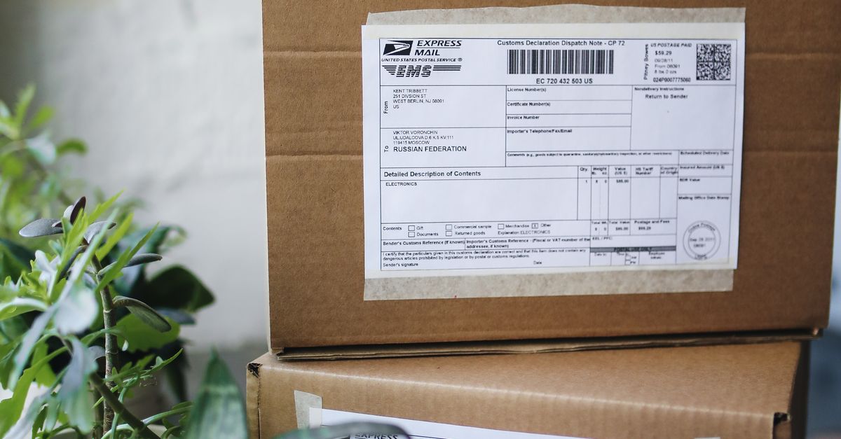 Close-up of shipping boxes with labels surrounded by houseplants indoors.