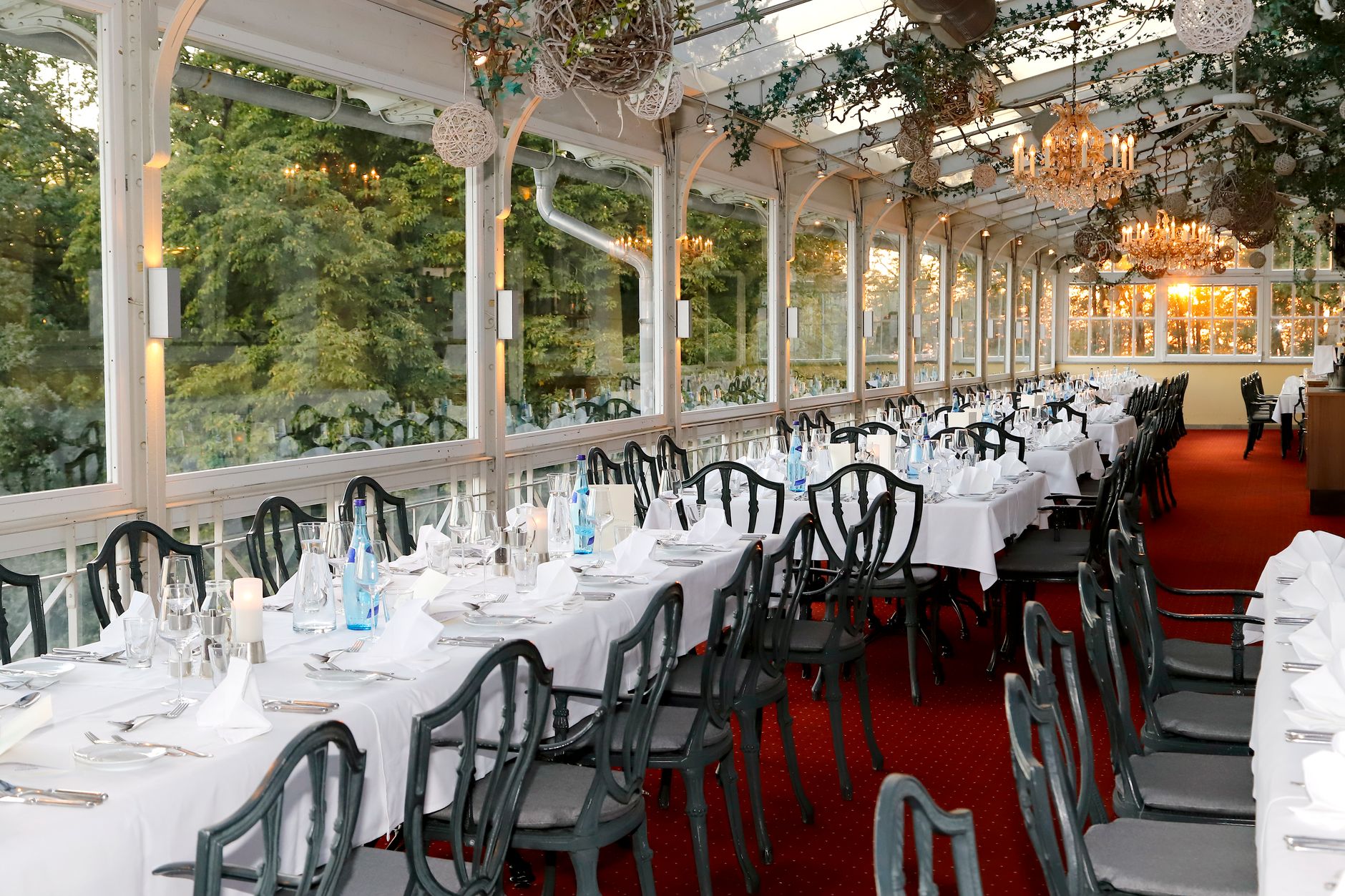 Mayfair Welcomes The Cocochine as Luxury Restaurant Investments Surge in Central London