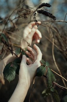 Crop anonymous female holding thin branches of tree growing in woods in countryside