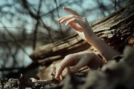 A Person Hands Under a Tree Log