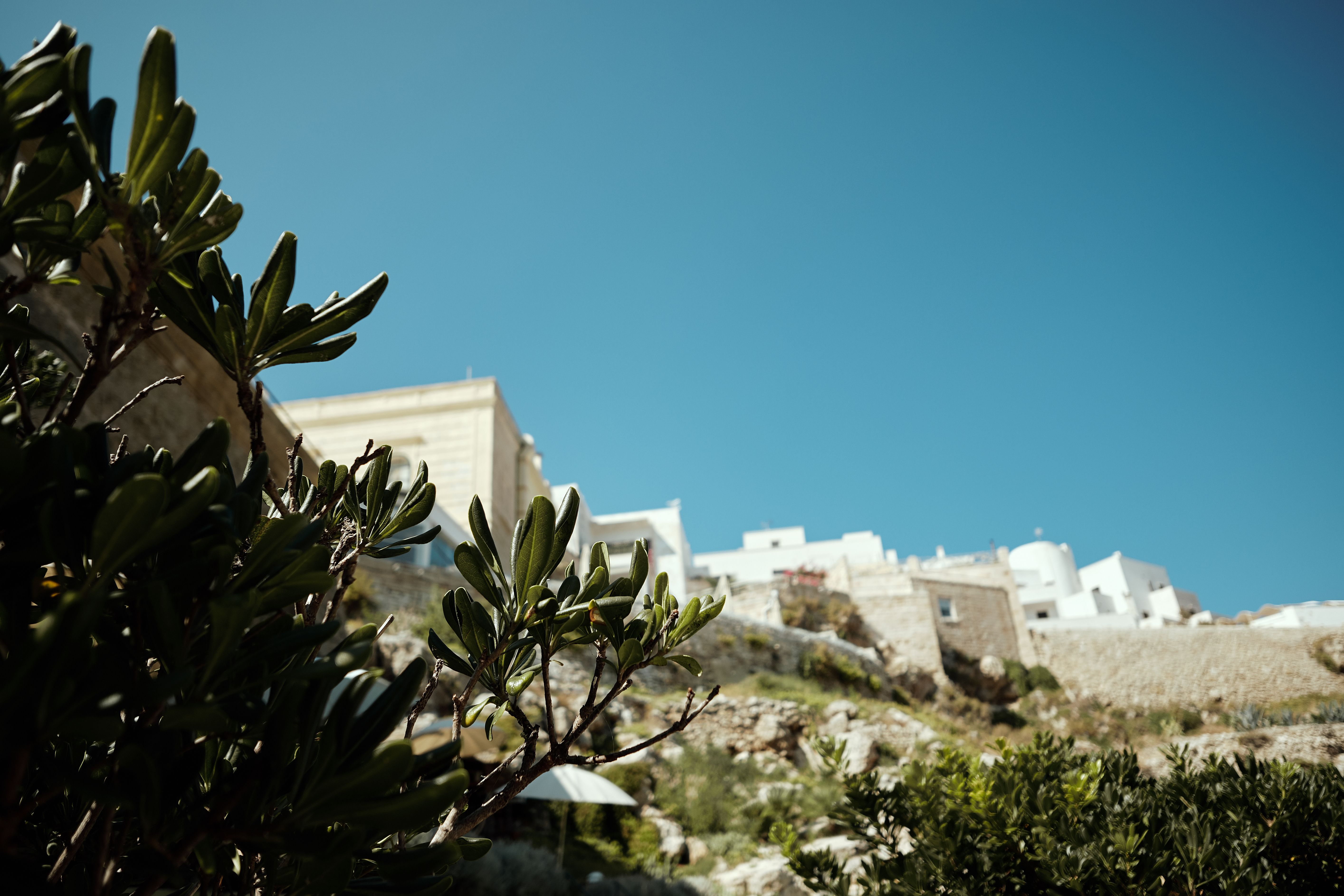 Low Angle Shot Houses Built on the Hill · Free Stock Photo