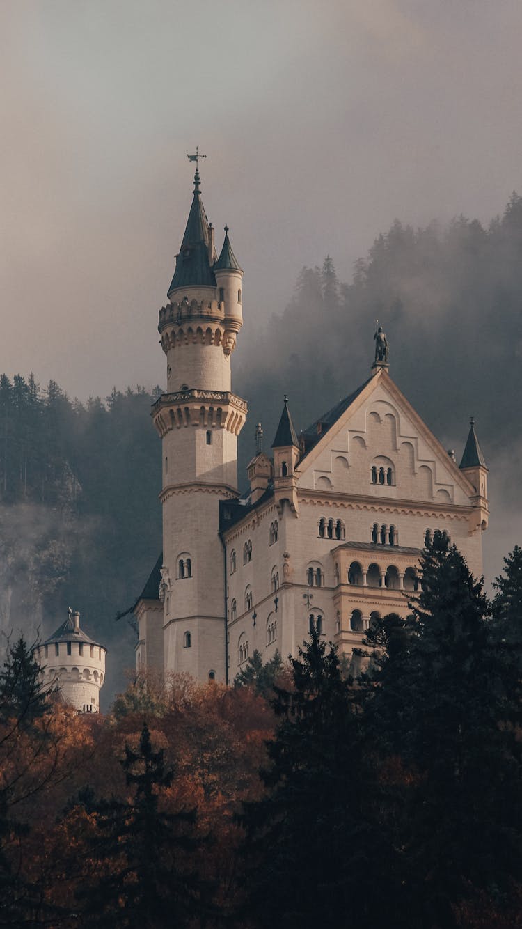 Old Medieval Castle With Towers In Forest