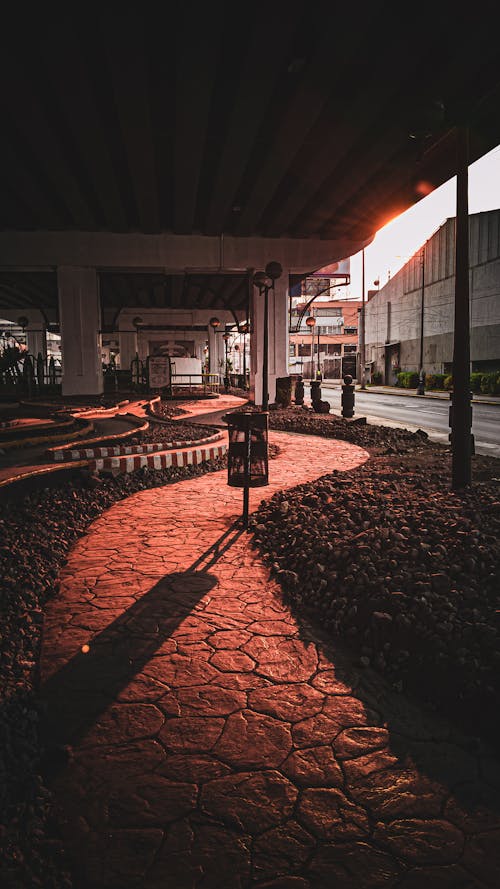 Narrow curved path going near road at light of sun in evening city