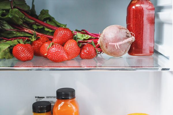 Integrated Fridge Repair