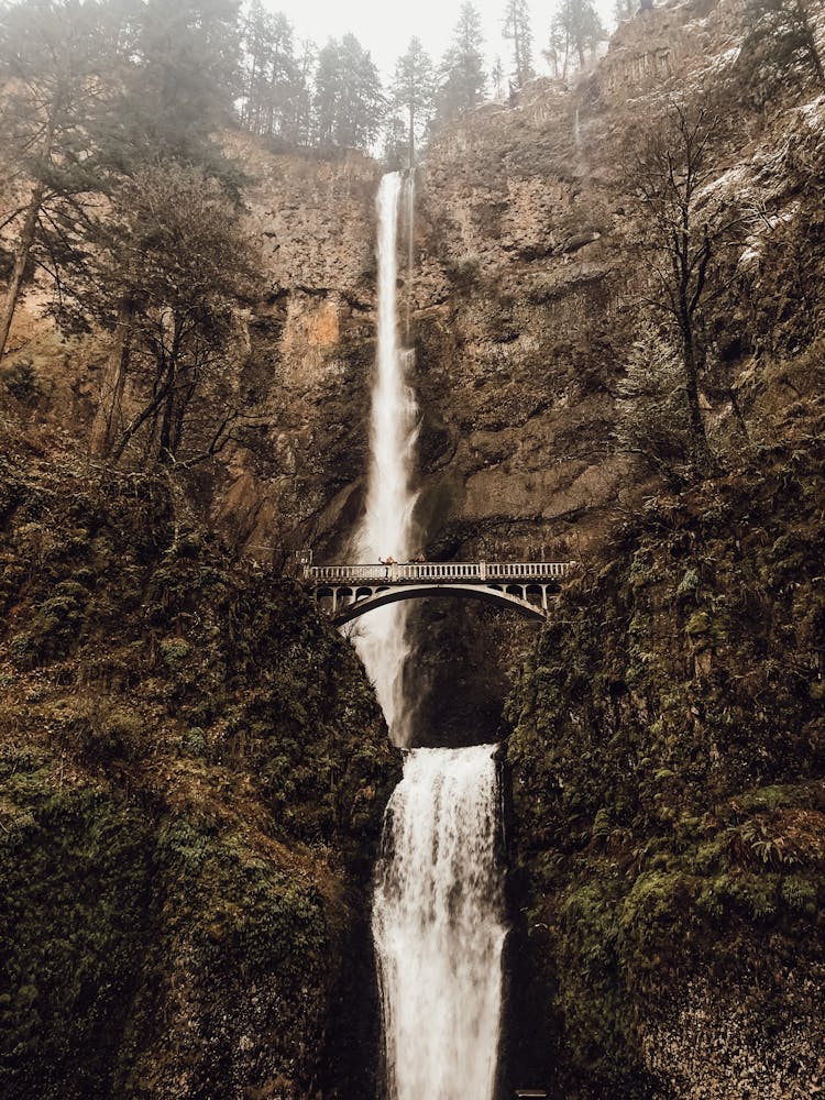 Small Bridge Above Waterfall In Ravine