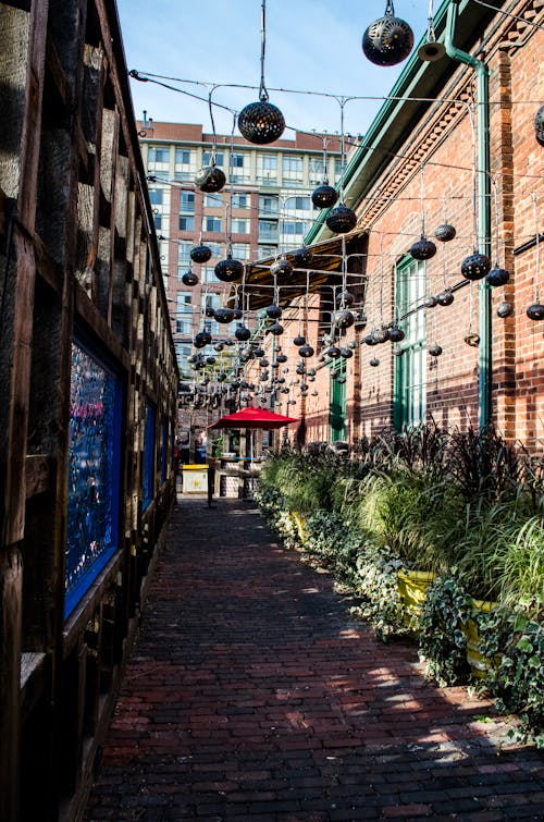 Free stock photo of canada, distillery district, distillery district toronto