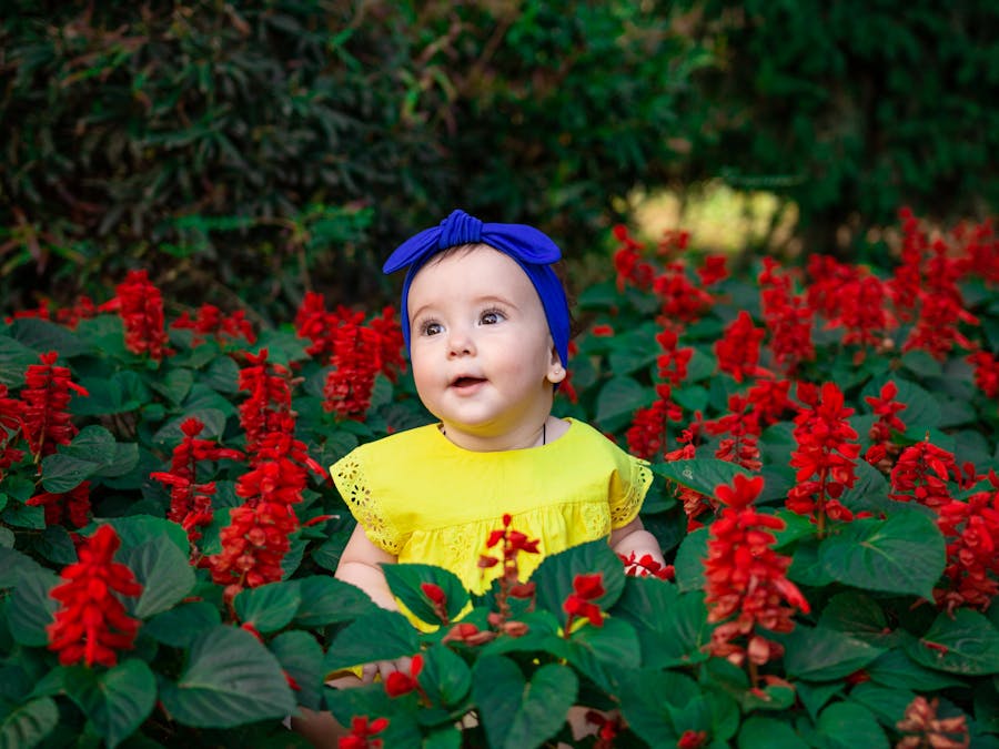 Who is the boy and girl in Baby Shark?