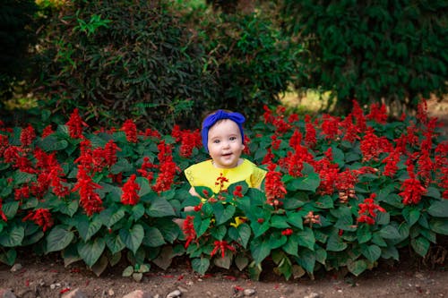 Imagine de stoc gratuită din adorabil, arc, băiat