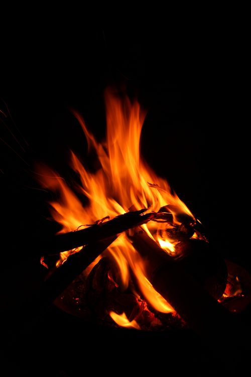 Free Scenery of contrasting bright flames of burning bonfire in camp at dark night Stock Photo
