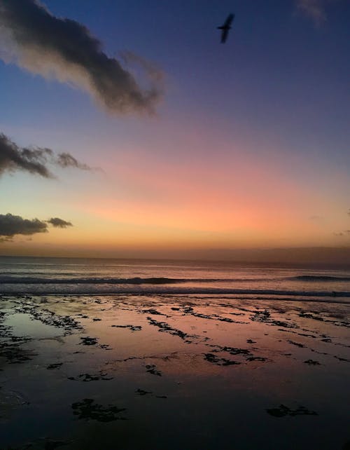 Scenic view of calm sea surface with algae waving peacefully under picturesque sunset sky in twilight