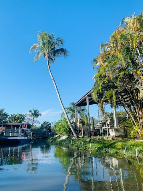 Exotic resort with green palm and terraces on riverside