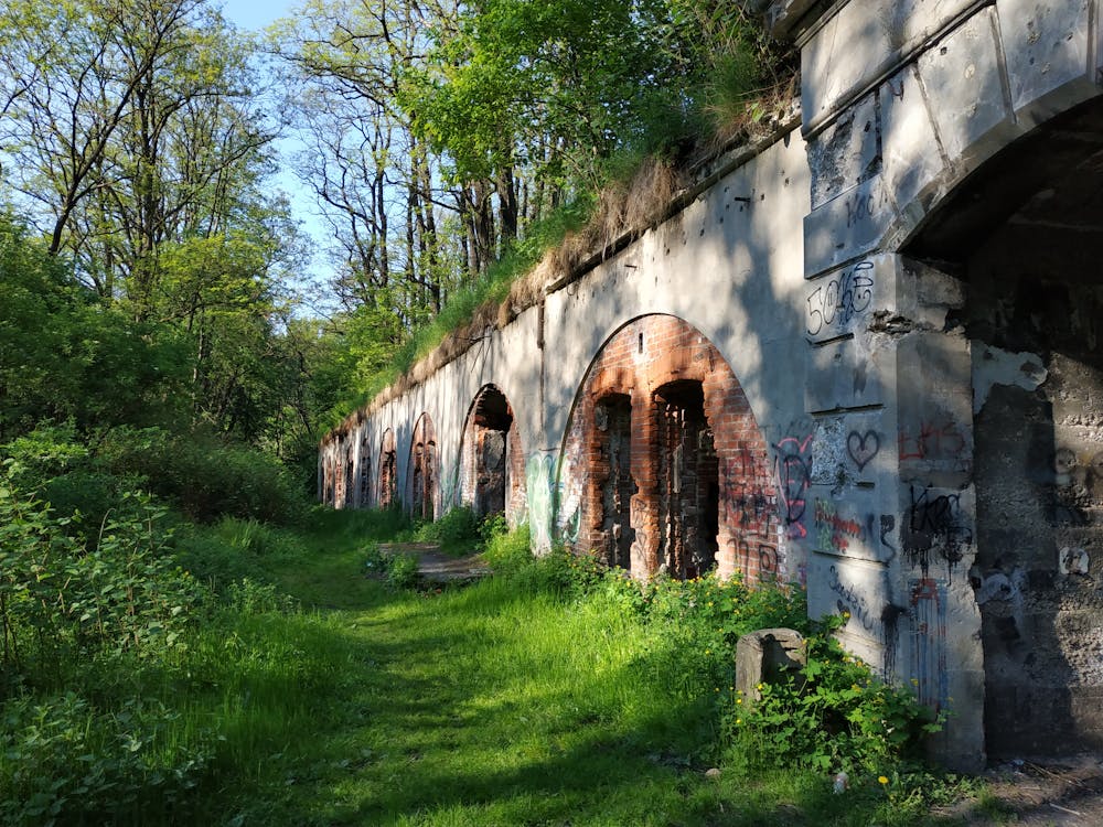 Immagine gratuita di cracovia, naturalne piękno, naturalny