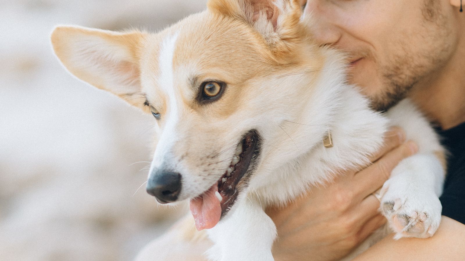 A man affectionately holding a Corgi outdoors, the kind of closeness linked to genuine dog-owner attachment