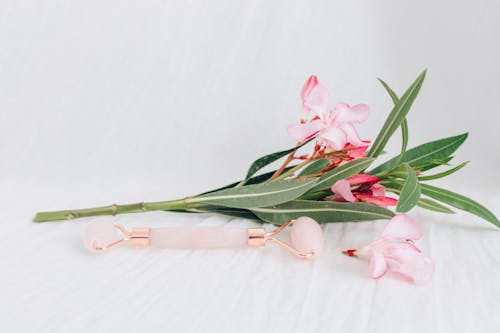 Foto profissional grátis de cuidados com o rosto, flores cor-de-rosa, folhas verdes