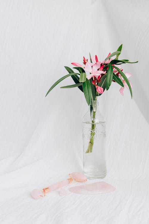aletler, Beyaz arka plan, Çiçekler içeren Ücretsiz stok fotoğraf