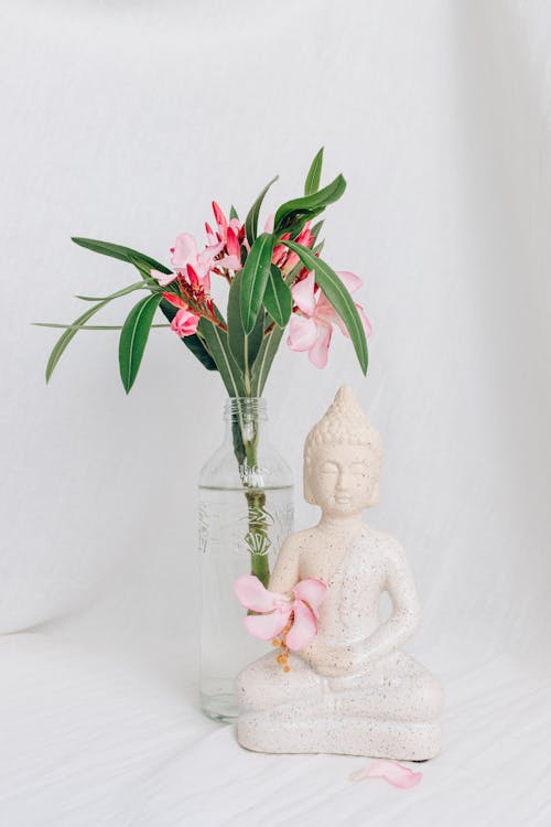 Pink Flower in the Plastic Bottle