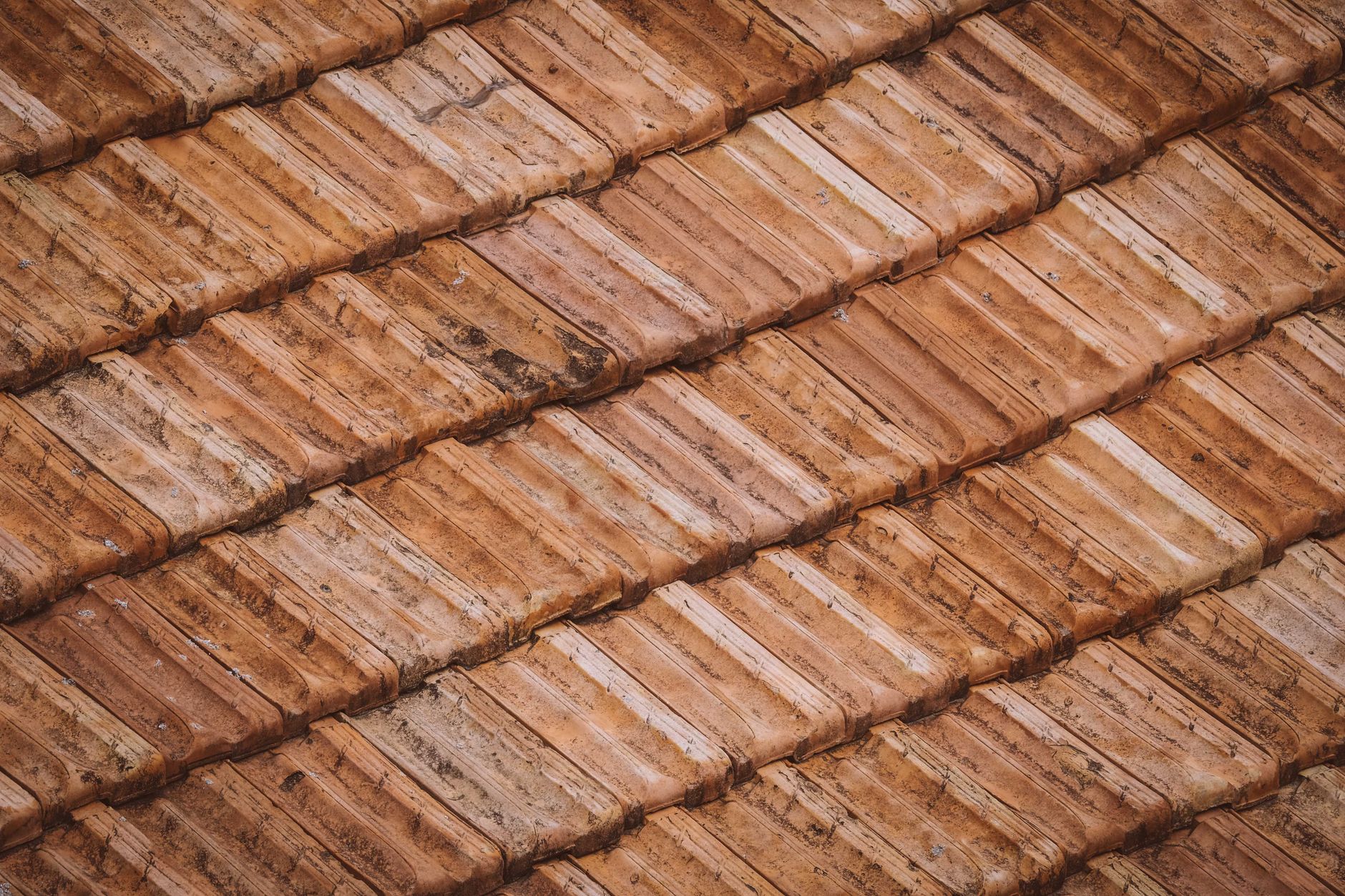 Weathered textured clay surface in warm light