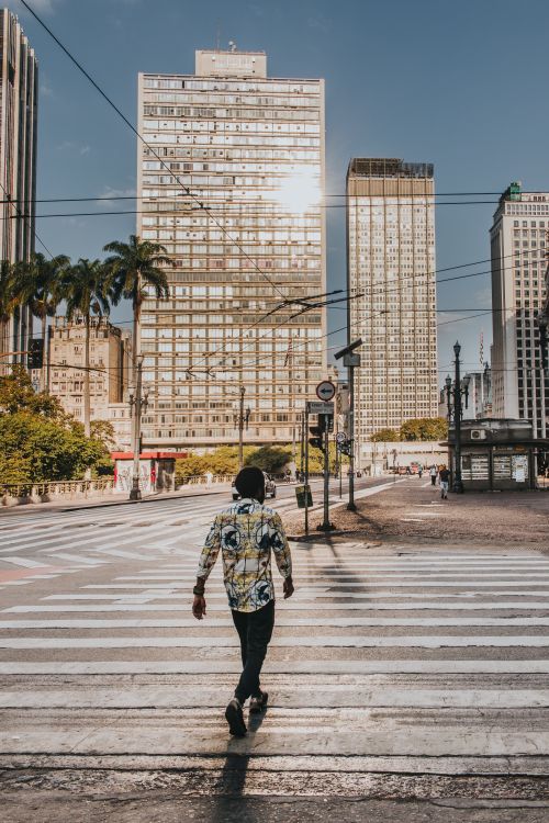 Free Back view of African American man walking on crossroad in modern city district Stock Photo