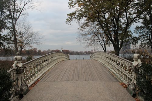 Free stock photo of bridge, central park, de viaje