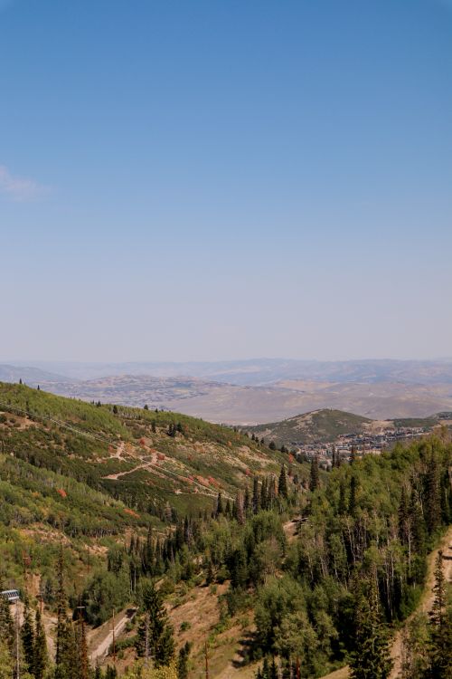 Free From above of amazing landscape of green trees located on high hills against cloudless sky Stock Photo