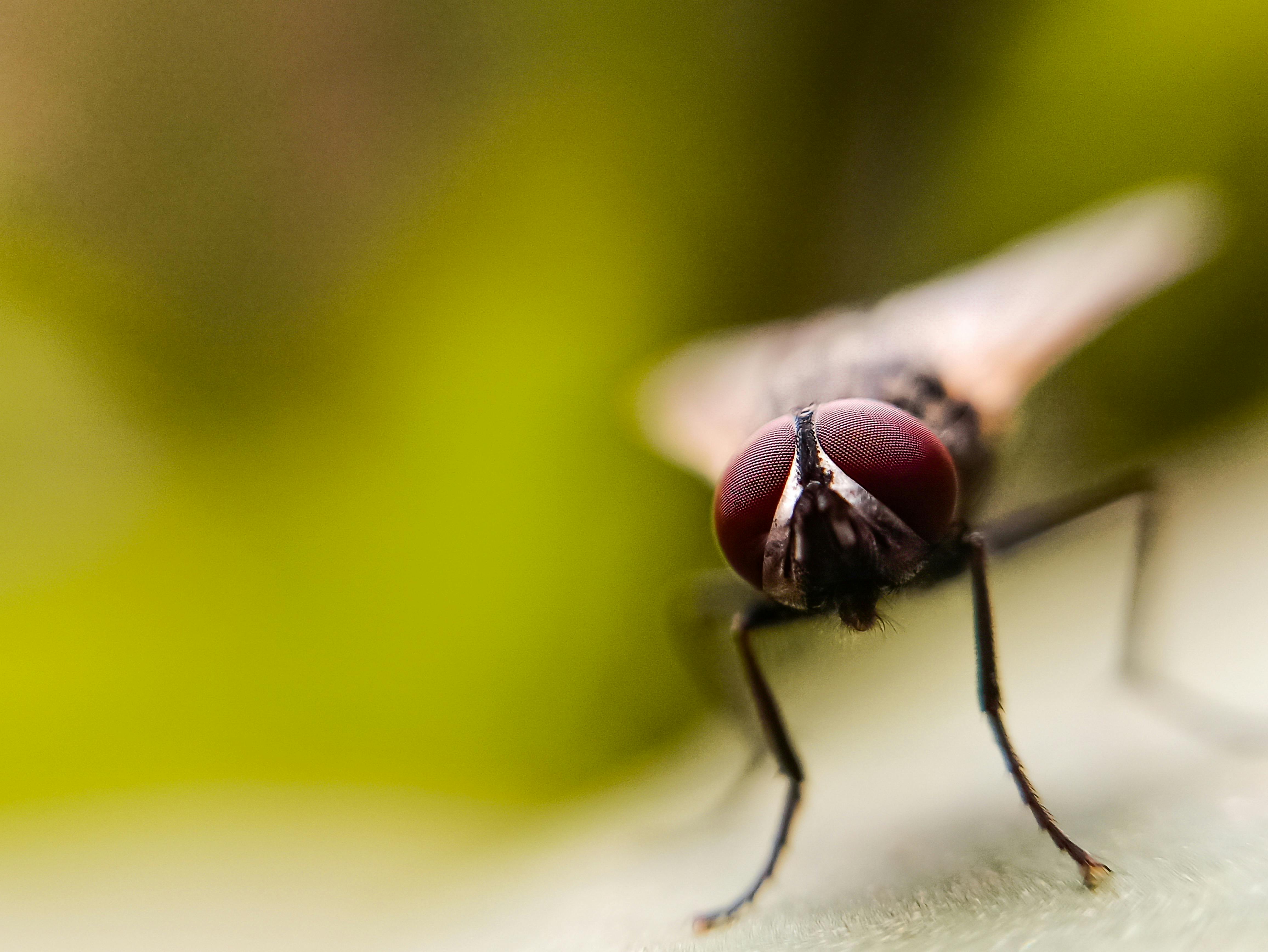 Become A Fly Fishing Pro With These Selected Tips