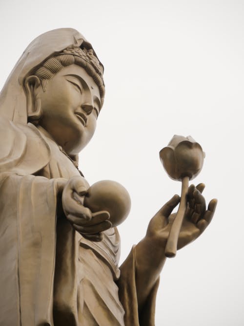 Low angle of Buddha in cloak demonstrating ball and flower on long thick stem