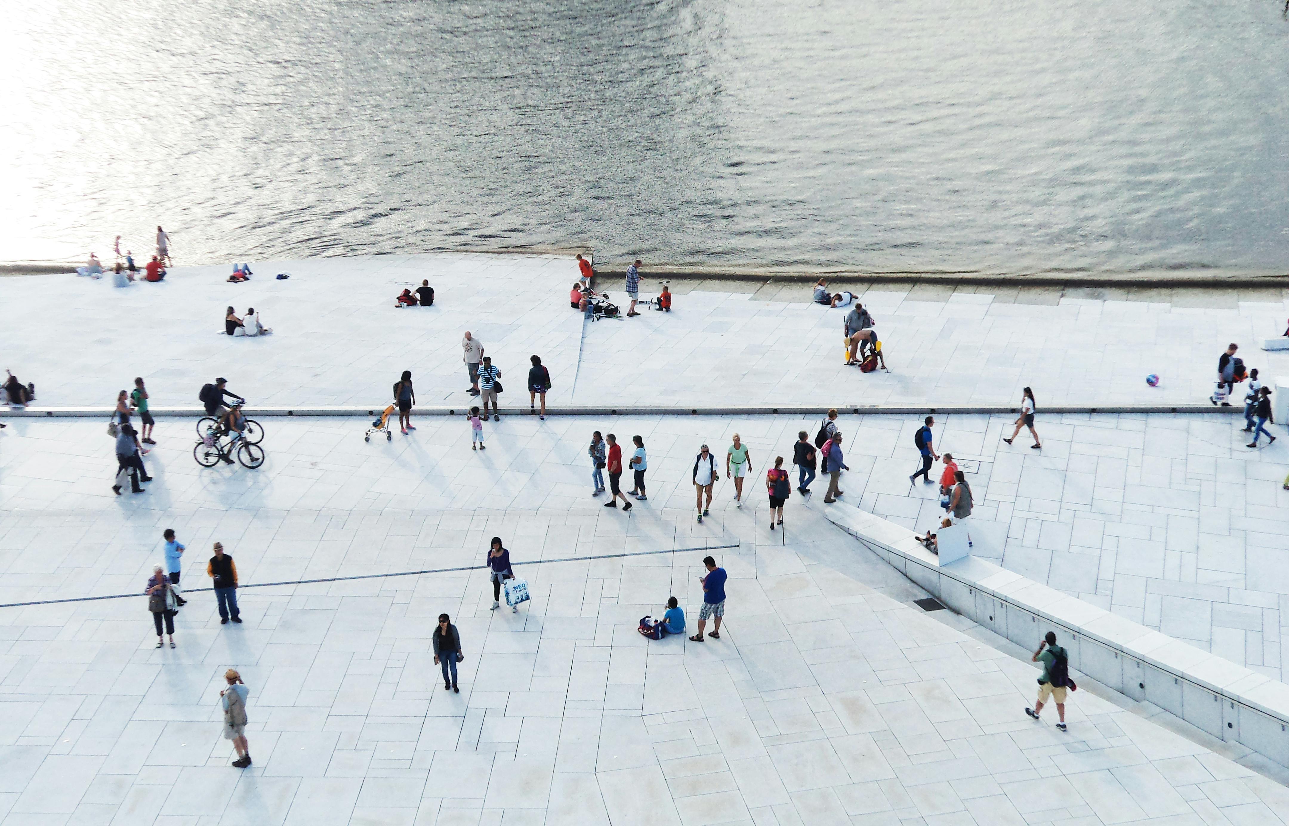 civic life examples — Photo by Ana Campos on Pexels