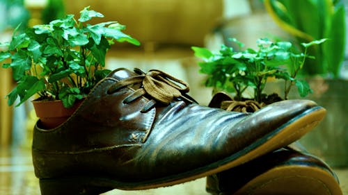 Kostnadsfri bild av bruna skor, sko, skor