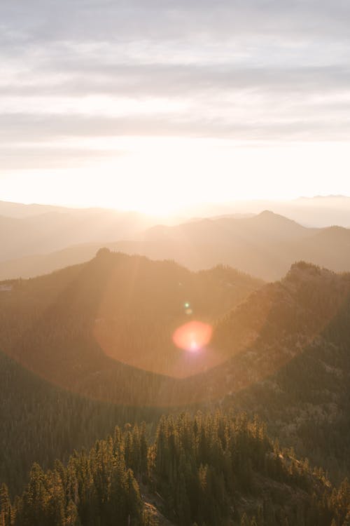 Free Mountains and Trees during Sunrise Stock Photo