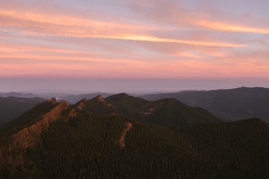 Beautiful sunrise over Mount Rainier with a misty forest and pink sky hues, perfect for nature and travel enthusiasts.