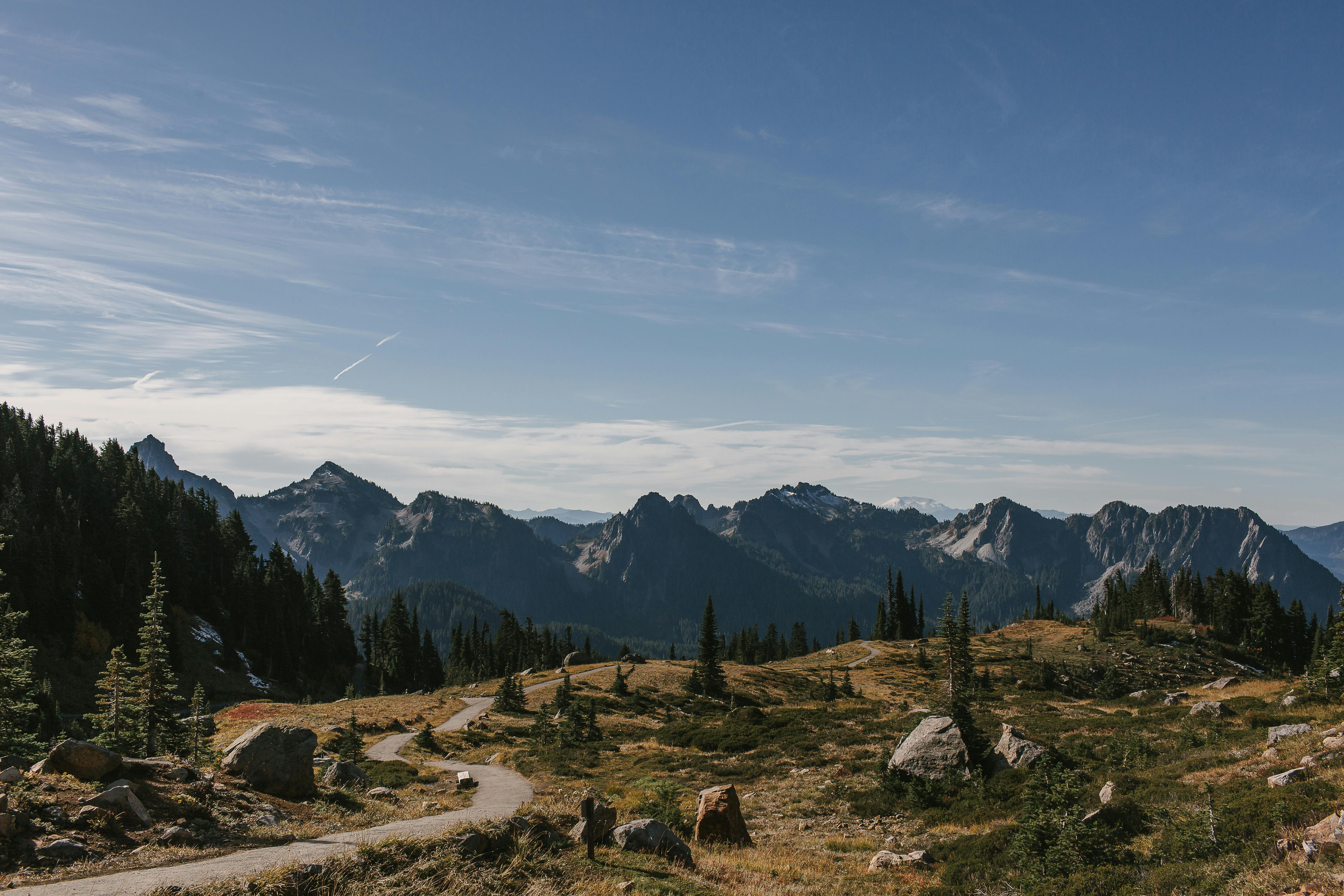 Green And Brown Trees On Mountain · Free Stock Photo