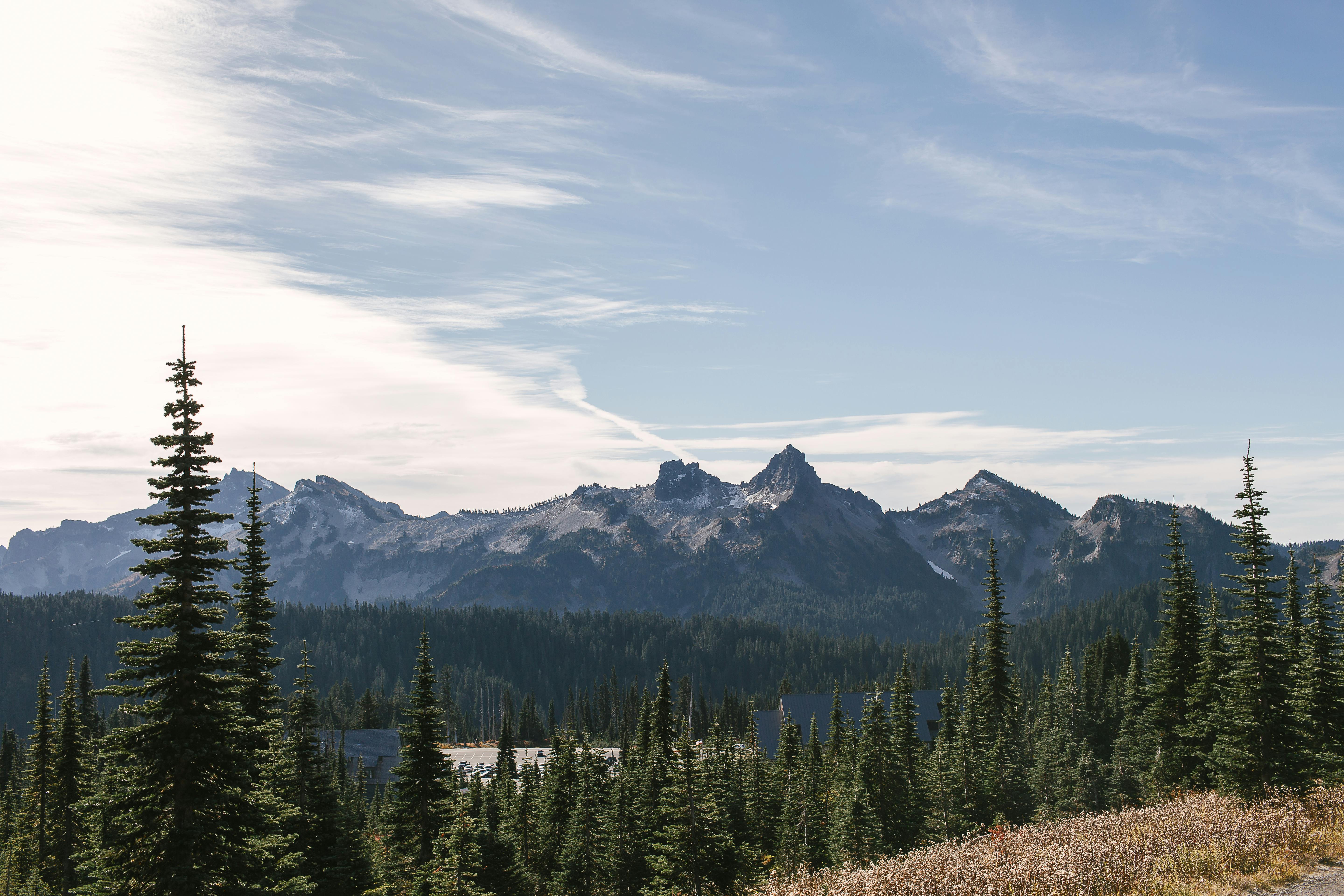 Green Pine Trees Across Mountains · Free Stock Photo