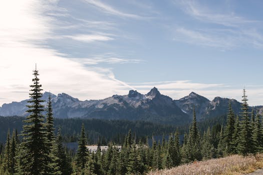 Serene view of Mount Rainier and evergreen trees under a clear blue sky. Ideal for nature enthusiasts.
