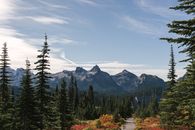 Green Pine Trees Near Mountain Under Blue Sky