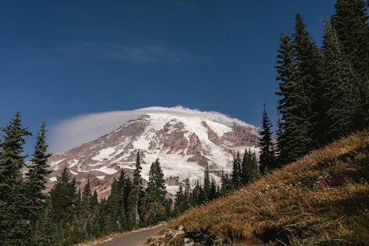 Snow-capped Mount Rainier surrounded by evergreen forest under a clear blue sky.