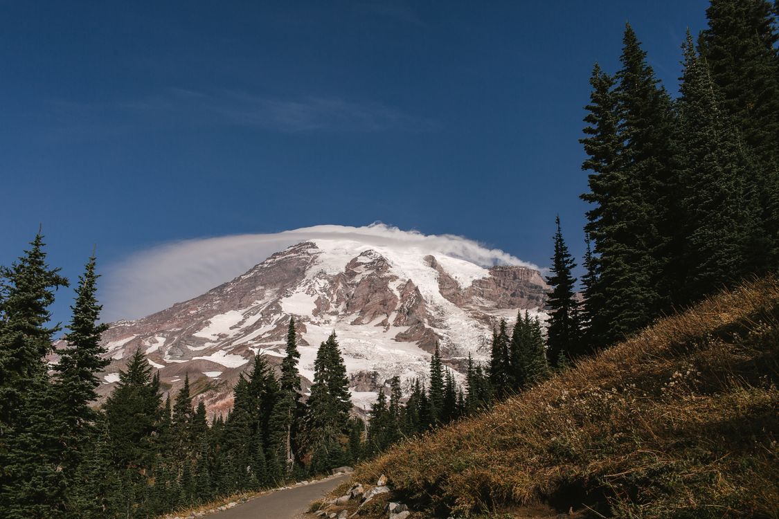 Green Pine Trees Near Snow Covered Mountain Under Blue Sky · Free Stock ...