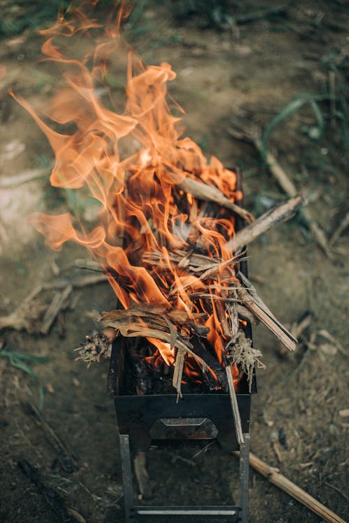 Burning Wood on Fire Pit