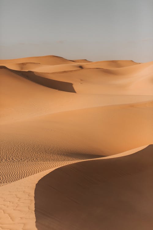 Бесплатное стоковое фото с вертикальный выстрел, горячий, дюны