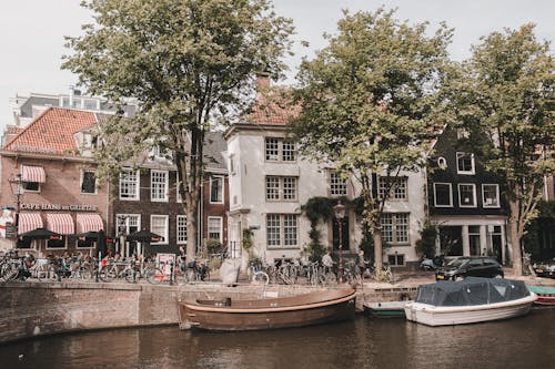 Δωρεάν στοκ φωτογραφιών με Άμστερνταμ, βάρκες, δέντρα Φωτογραφία από στοκ φωτογραφιών