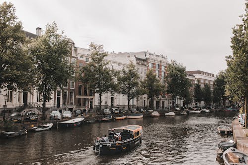 Immagine gratuita di alberi, amsterdam, barche