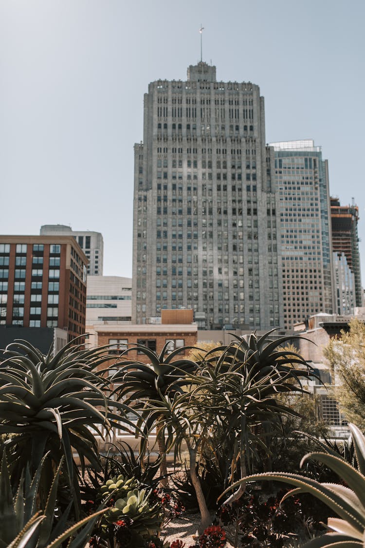  The 140 New Montgomery Building In California