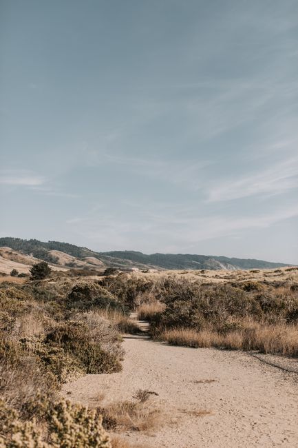 Explore a serene Californian desert landscape with mountains under a clear blue sky. Perfect for nature enthusiasts.