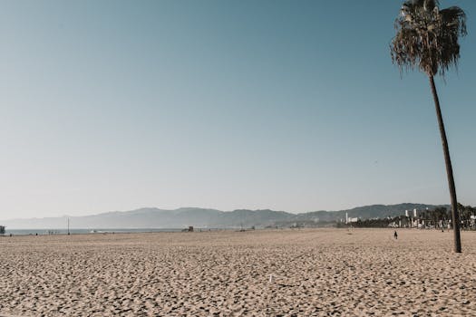 Stunning view of Venice Beach with a single palm tree and distant mountains under a clear sky.