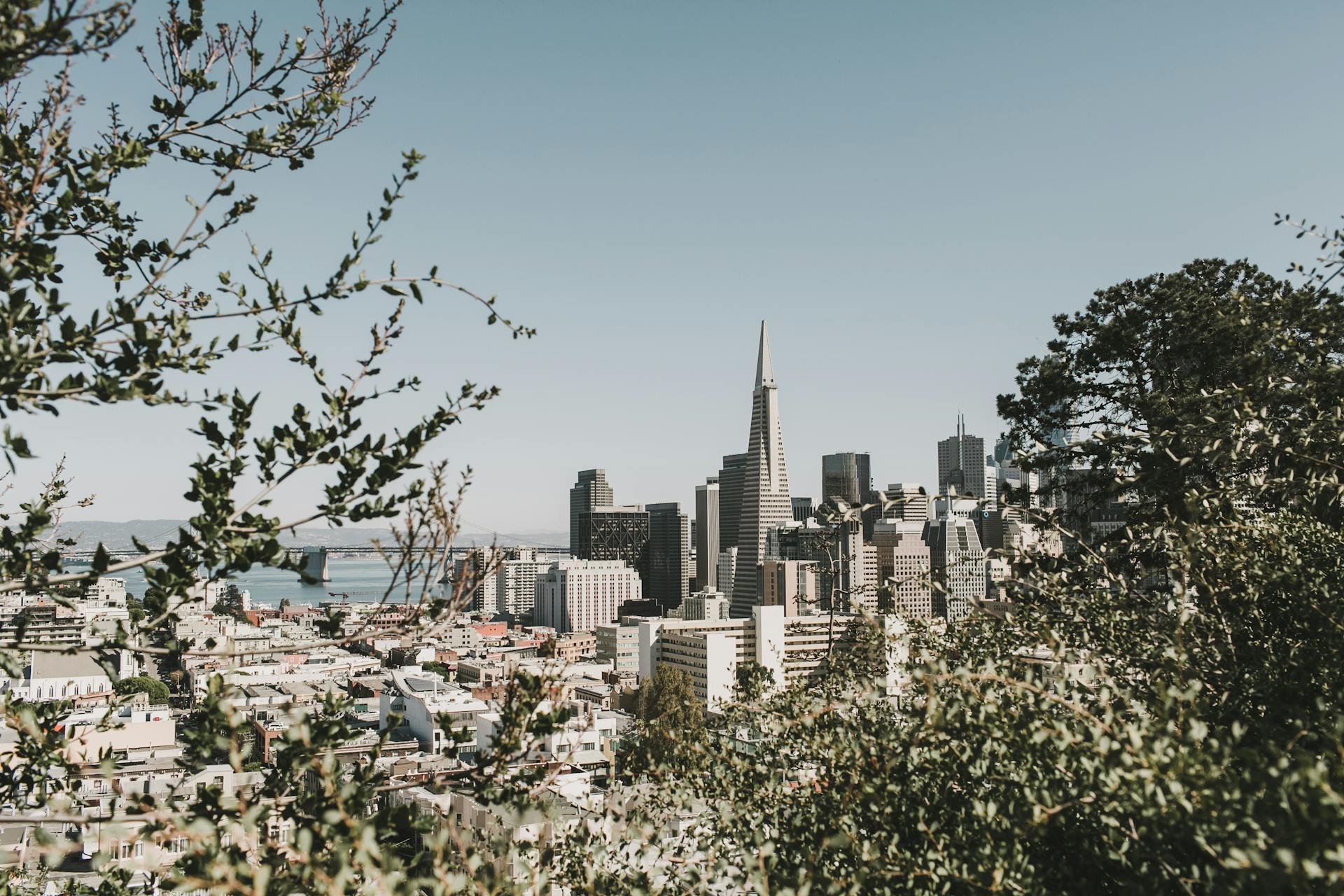 A View of the San Francisco City
